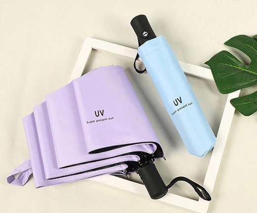 e9d6d4f56113672ab0d1a235752d9138_1770109814_7055.png e9d6d4f56113672ab0d1a235752d9138_1770109814_7055.png