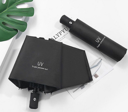 e9d6d4f56113672ab0d1a235752d9138_1770109817_7974.png e9d6d4f56113672ab0d1a235752d9138_1770109817_7974.png